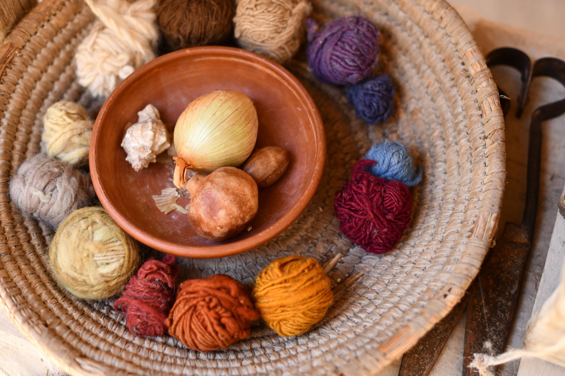 What Fiber Actually Does - and Where Most People Fall Short