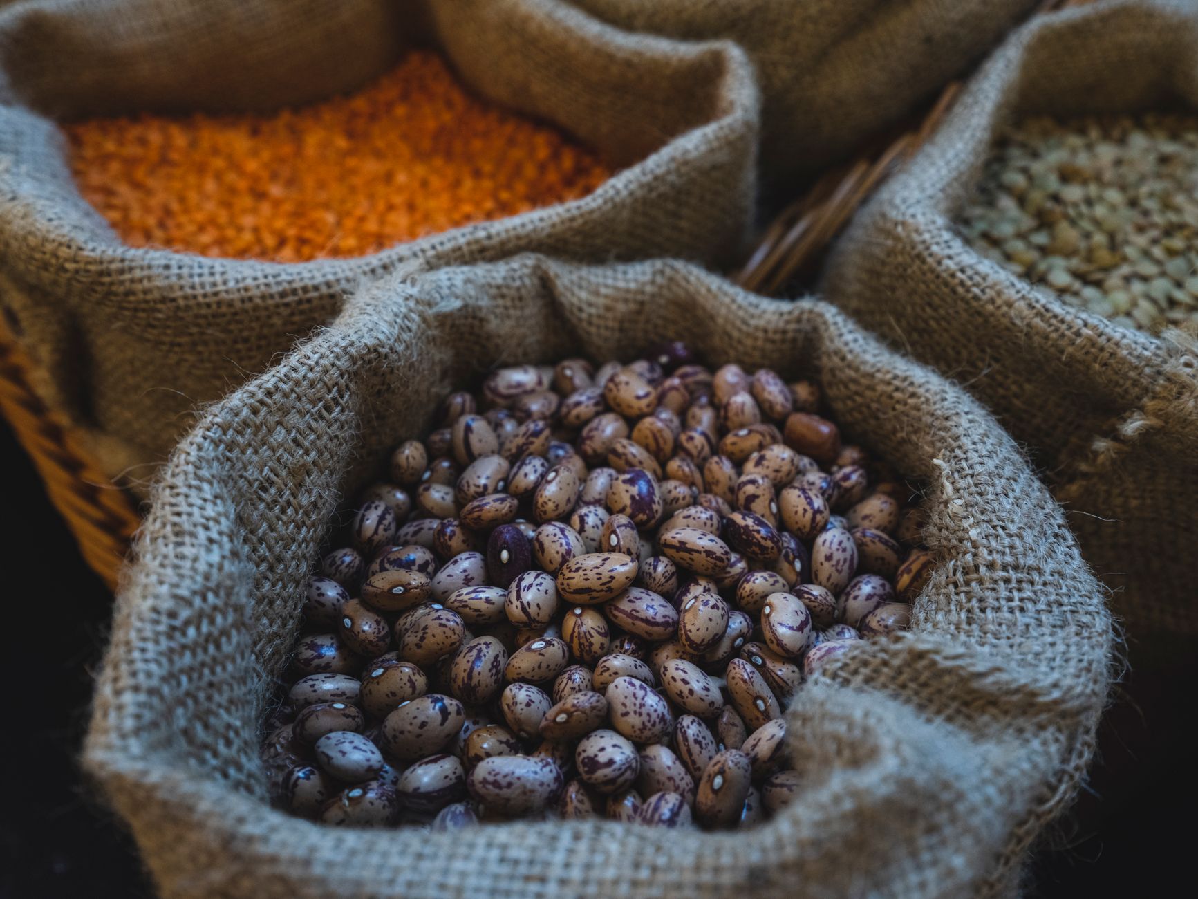 Dietary Fiber's Role Beyond Digestion: What the Gut-Microbiome Evidence Shows