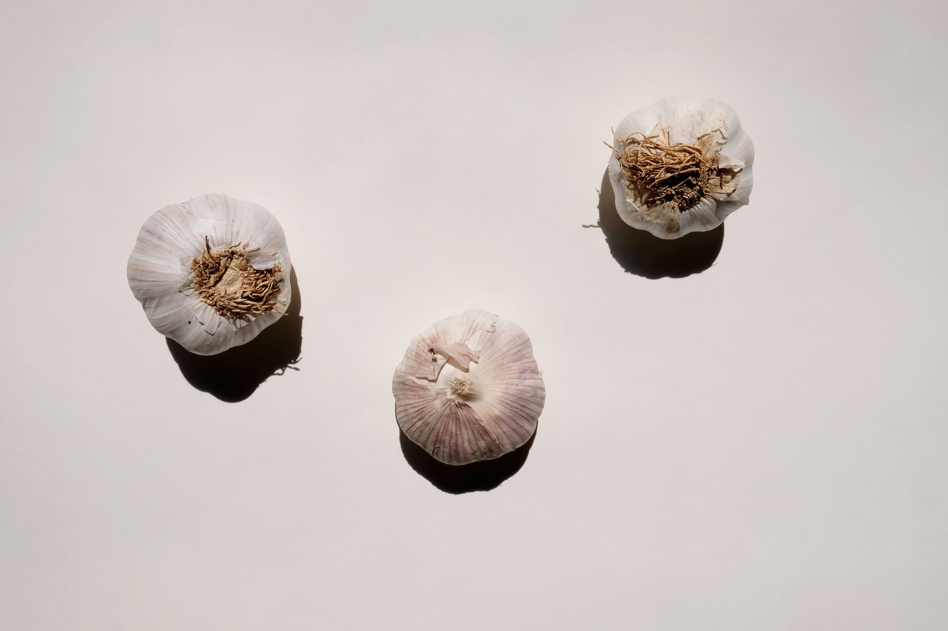 What Garlic Actually Contains - and Why It Matters
