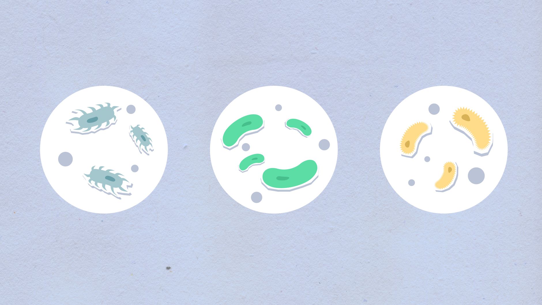 Three Molecules, Very Different Roles