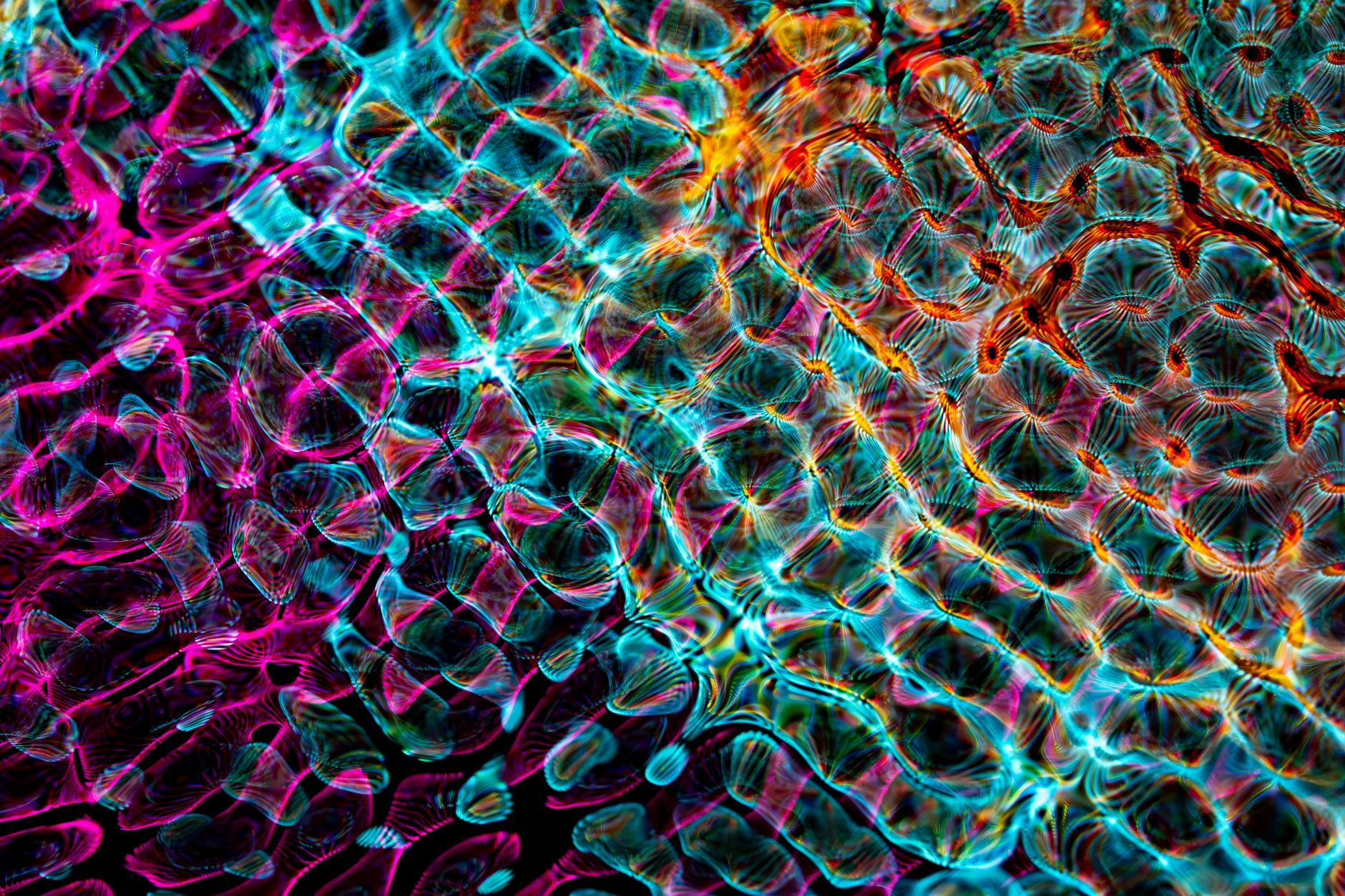The Biology of Shrinking Muscle