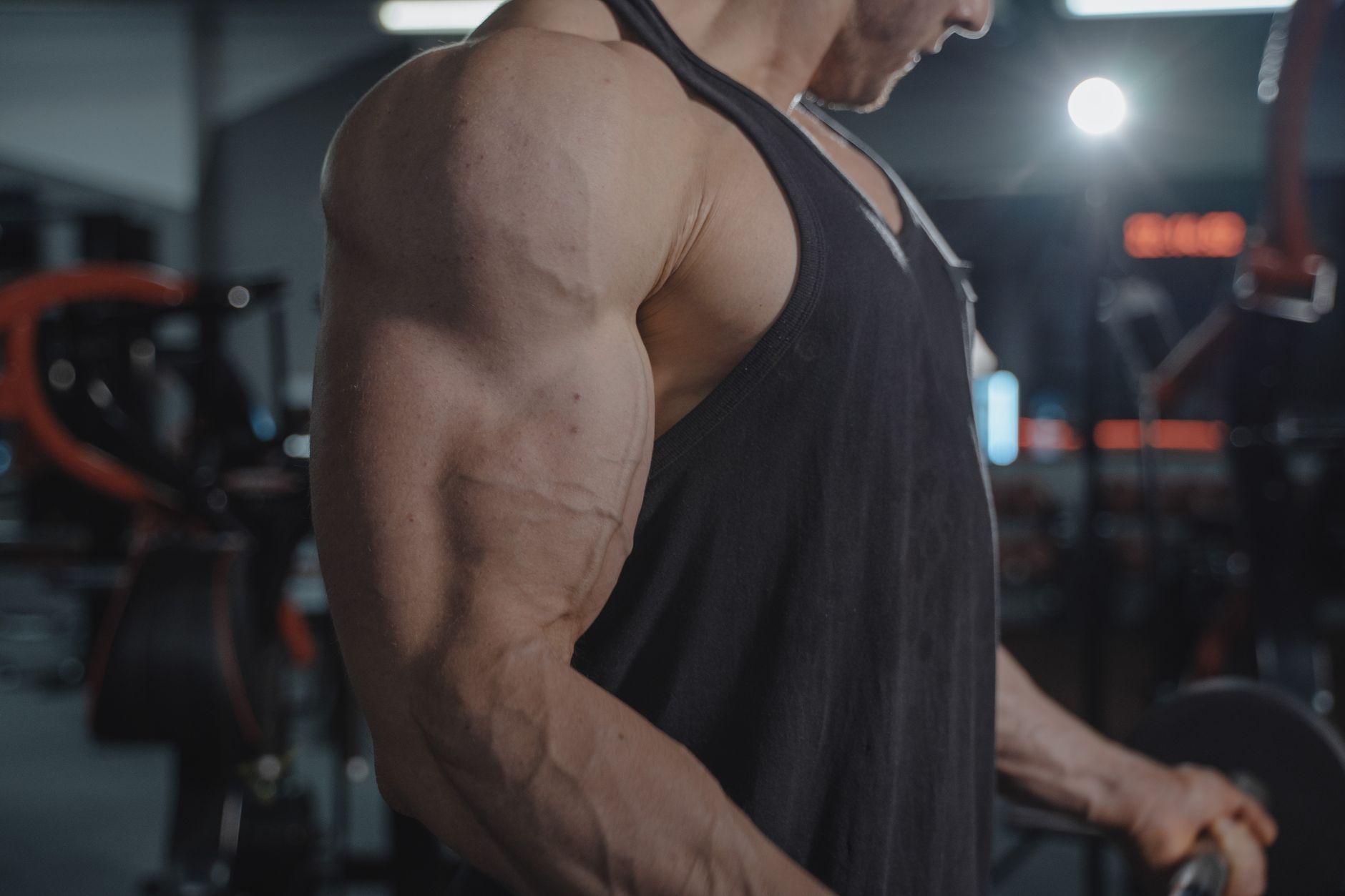 ### Anabolic Resistance: When the Muscle Stops Listening